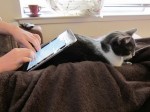 ipad television