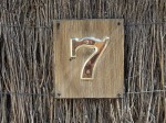 Golden 7 on Brush Fence