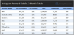 instagram top brand account details