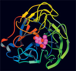 3d-model-flu-virus