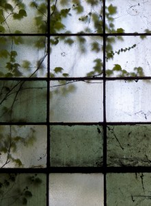 transparency-window