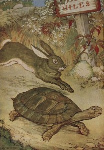 tortoise-and-hare tortoise-and-hare