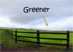 Greener Pastures 3