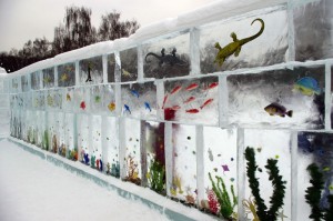 Russian Ice Aquarium
