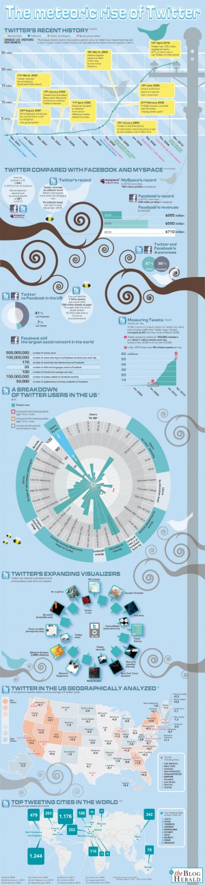 infographic-twitter-rise