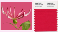 pantone-2011-color-of-the-year