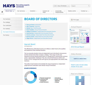 hays-board-experience