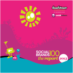 social brands 100 2013 report cover
