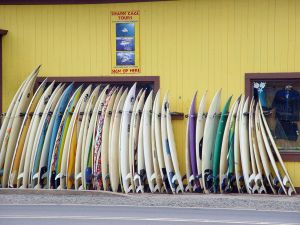 surf shop