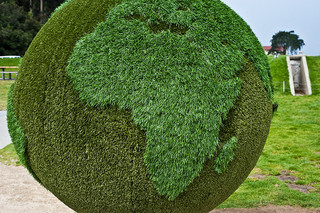 green globe green brands