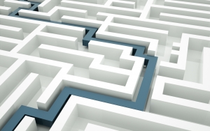 agile executive maze